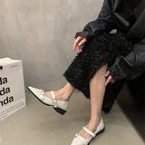 Small Leather Shoes 2024 New Spring Thick-Heeled Low-Heeled High-Heeled Shoes Vintage French Style Mary Jane Single