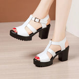 Thick-Heeled Lacquered Leather Sandals Women's 2023 Summer New Thick-Soled Waterproof Platform Size 4043100 Open-Toed