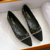 Breakj Spring And Summer New Fairy Wind Chain Flat Sole Single Shoes Women's Version Of Sharp Head Light Soft Bottom