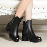 Boots Women 2024 New Thick Plush Ankle Snow Boots Women High Heels Botas Mujer Invierno Outdoor Women Casual Warm