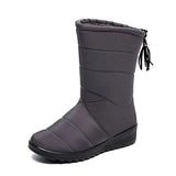 Fashion Tassel Waterproof Winter Boots for Women Non Slip Plush Woman Snow Boots Leisure Warm Cotton Padded Shoes Plus