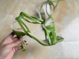 Breakj 2023 High Heel Fashion Winding Strap Sandal Women's Head Wine Cup Heel Sandal