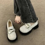 Shoes Women's Shoes 2024 Spring New Style Thick Soles, Thick Heels, Black Shoes, Jk Mary Jane Shoes, Single Shoes, Small Leather