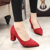 Spring and Autumn Fashion Pointed Shallow Mouth Women's Shoes Ladies Wild Sexy Comfortable Shoes Wedding Shoes